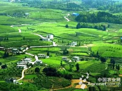 浙江松阳农业示范区项目完成71%