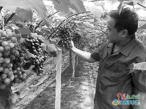 ʡͥũѳΪչ̬ũҵҪ