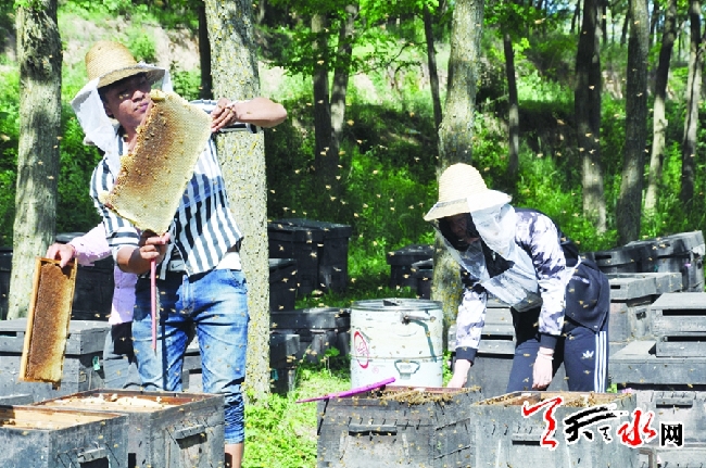 ǧֲֵһڶԪ ˮҵũ¸;