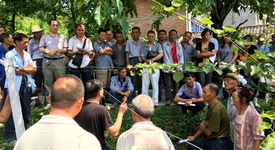 四川苍溪县农业局送技术到田间