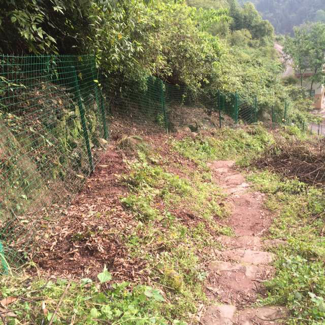 重庆:开州区加强野生大豆保护区管护