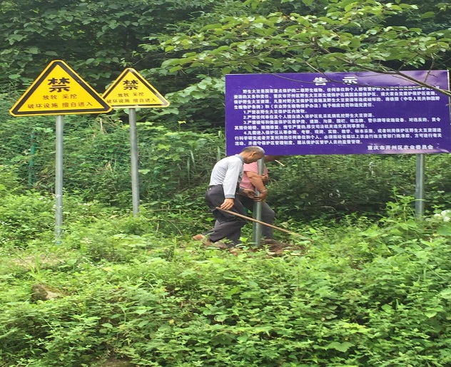 3.jpg 重庆:开州区加强野生大豆保护区管护