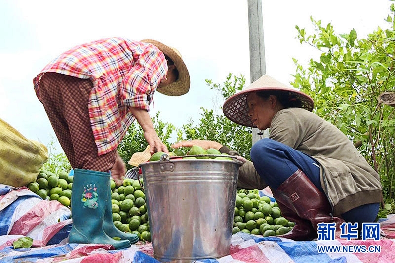 ϰɳ̷ƶϵ ƶƶ¸