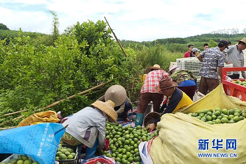 ϰɳ̷ƶϵ ƶƶ¸