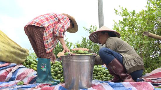 ϰɳ̷ƶϵ ׼ƶƶ¸