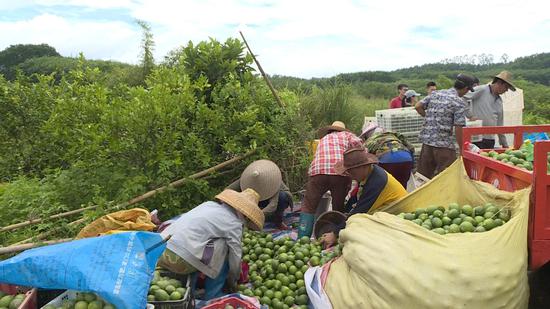 ϰɳ̷ƶϵ ׼ƶƶ¸