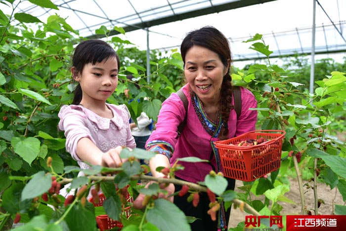 ȫִũҵ衱ͷƶںϷչ