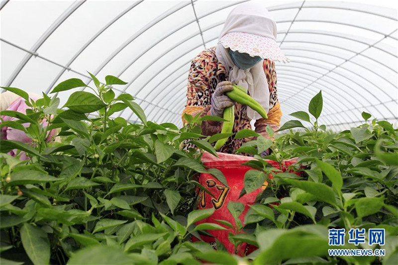 726գ¡ϴʩֲ߲أũڴвժཷ