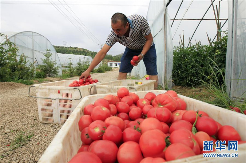 726գ¡ϴʩֲ߲أũڷּոջ