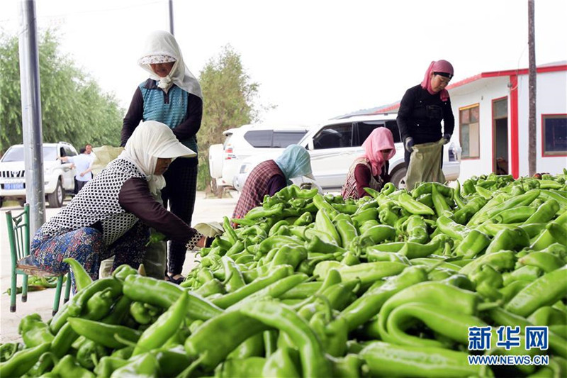 726գ¡ϴʩֲ߲أũոջཷװ