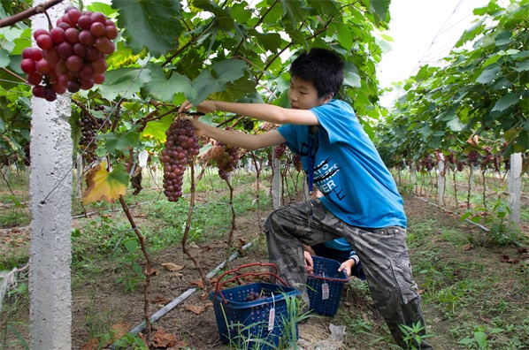 㶫ʻɫˮҵƷ ԰ӭвժȳ