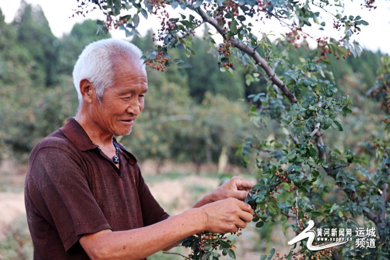 ɽǳǣССһŻ ؿɽ¸