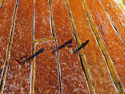 栽培系统入列我国重要农业文化遗产名单——河北兴隆山楂分外红