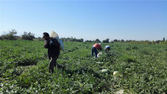 ɽʡܹԮ½ŵʮʦŵлϳ