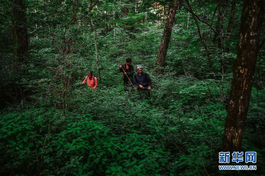 727գ޳һιѣҶκʤڡɽѰҰɽ