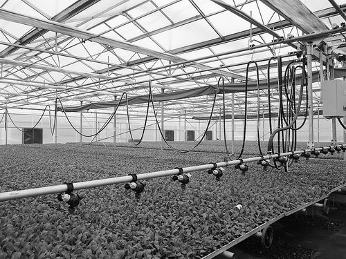 山东德州打造京津冀“放心农场”