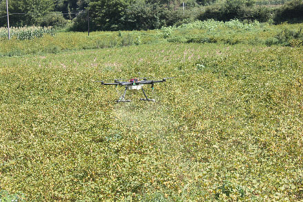 湖北房县使用农用植保无人机防治农作物病虫害