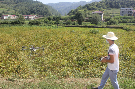 湖北房县使用农用植保无人机防治农作物病虫害