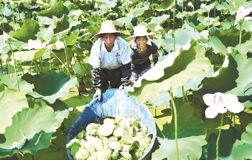 շطũҵҵṹ չ̬۹ũҵ