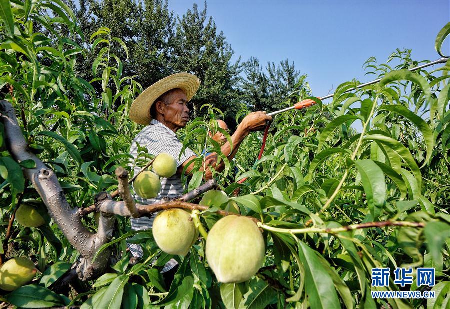 ԰ֲ߲רҵũڸвҩƼ