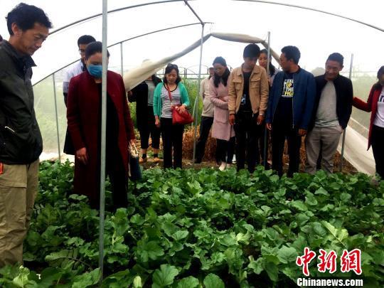 רҵ˲֪ʶ¹ũҵЧũ