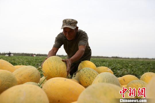 ½ŵʮʦ5000Ķܹϳ콫۸߷