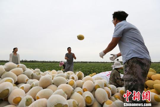 ½ŵʮʦ5000Ķܹϳ콫۸߷