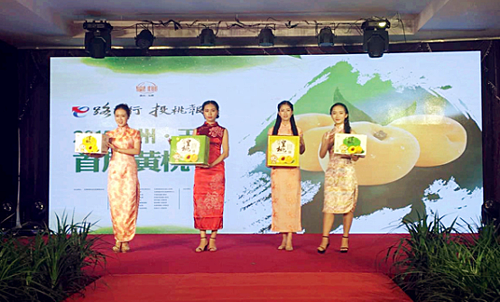 2017ݡ׽ҽڻĻͻ50