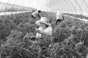 ɹŰ쳤ʤʤ巢չ߲˲ҵƶ