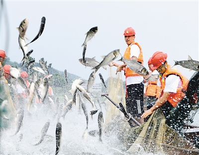 Ĵ㰲ˮ̬㡱ֻ ͨһһ