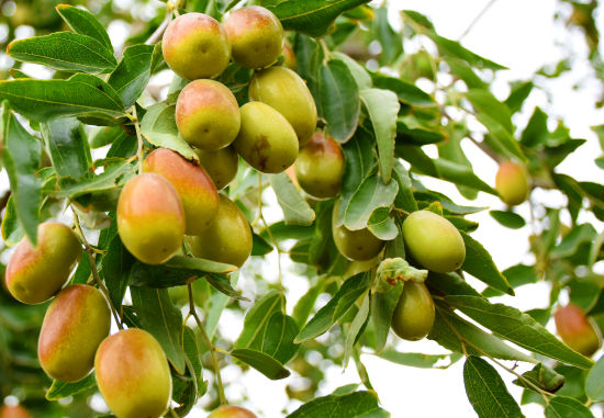 ֮硱½Ǽ22Ķ泤ϲ˷