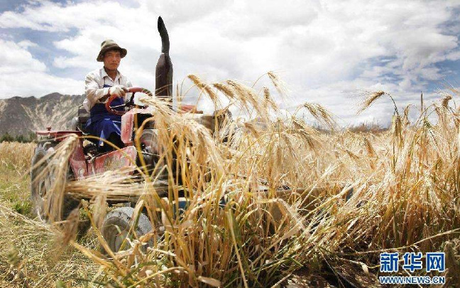 ÿƼȺڡȫũѧԺίǡԺ