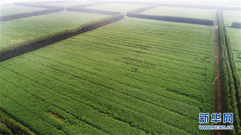 ɽƽأػִũҵٽũҵṹԸĸ