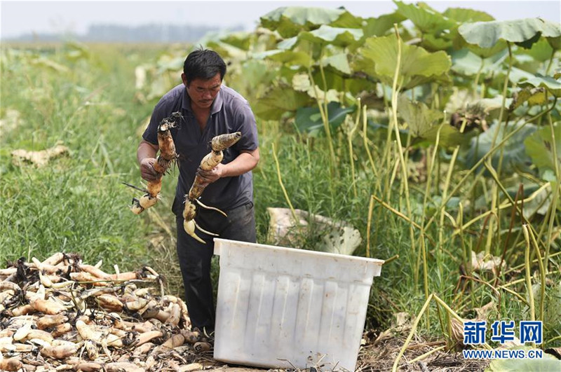 ɽƽأػִũҵٽũҵṹԸĸ