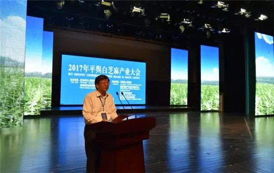2017年河南平舆白芝麻产业大会隆重召开