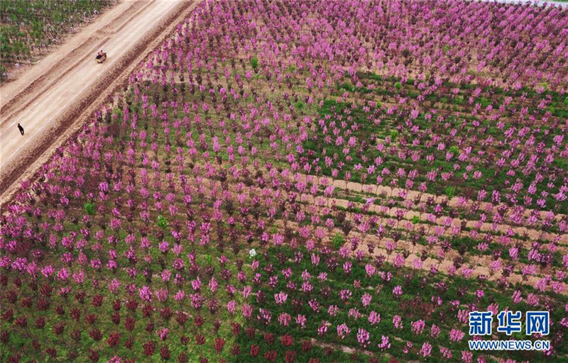 ɽƽأػִũҵٽũҵṹԸĸ