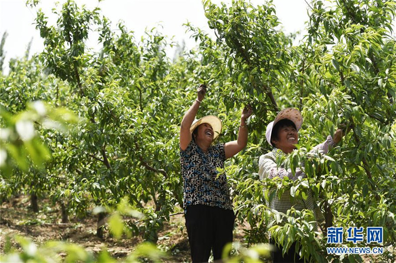 ɽƽأػִũҵٽũҵṹԸĸ