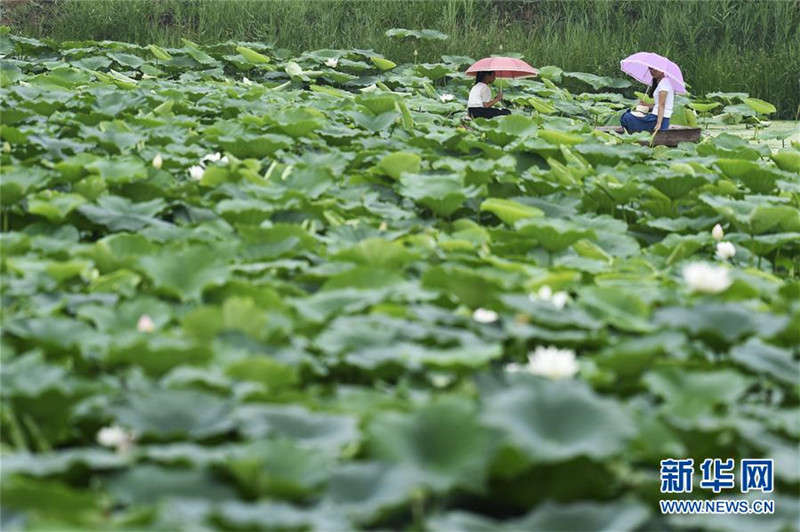 ɽƽأػִũҵٽũҵṹԸĸ