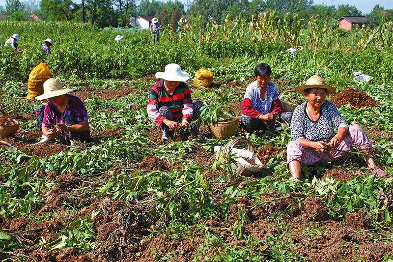 ������֣��ƶ�����硰��Ѫʽ����ƶ ��������7100��Ԫ