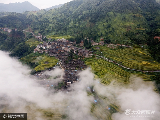 贵州从江:航拍加榜梯田 稻谷成熟美不胜收