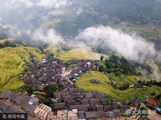 贵州从江:航拍加榜梯田 稻谷成熟美不胜收
