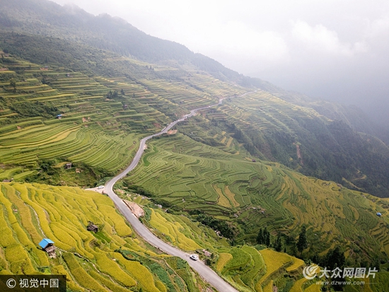 贵州从江:航拍加榜梯田 稻谷成熟美不胜收