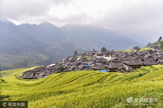 贵州从江:航拍加榜梯田 稻谷成熟美不胜收