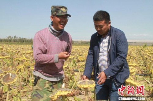 ½ŵʮʦһŸߺų4000Ķʳϲ