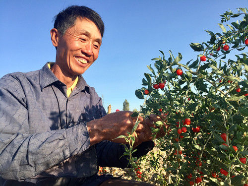 ½ŵʮʦһ˰ţӲӵ轹ֲġǮӡ