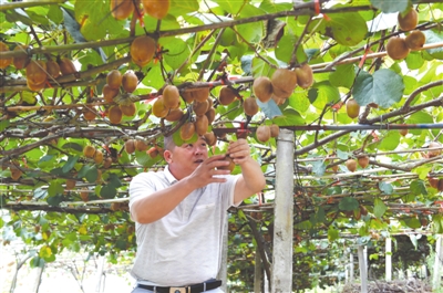 㶫ƽ⨺ȫժ ԤƲֵ1.5Ԫ