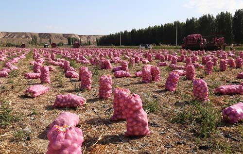 ½Ŷʮһ469Ķϲ Ԥܲ3752