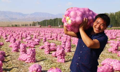 ½Ŷʮһ469Ķϲ Ԥܲ3752