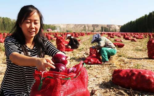 ½Ŷʮһ469Ķϲ Ԥܲ3752