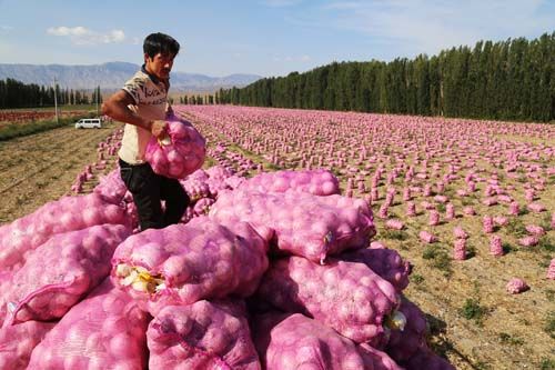 ½Ŷʮһ469Ķϲ Ԥܲ3752